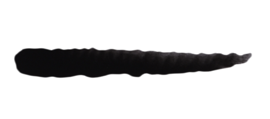 SC00 Black