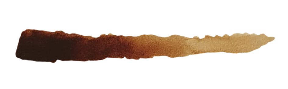 SC81 INKTENSE CHESTNUT