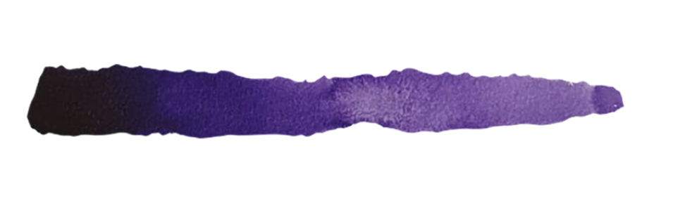 SC82 INKTENSE VIOLET