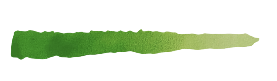 SC100 INKTENSE LIME