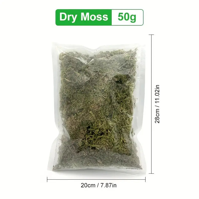 Musgo Seco Color Verde 55g