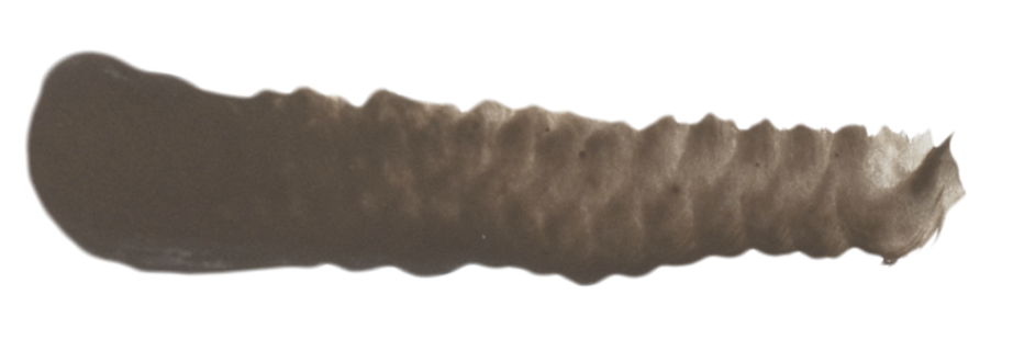 SC29 WALNUT